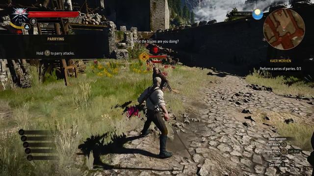 Witcher 3 Wild Hunt #1 ~ Woman Of My Dreams ~ Gameplay Walkthrough Playthrough Blind Lets Play смотреть онлайн