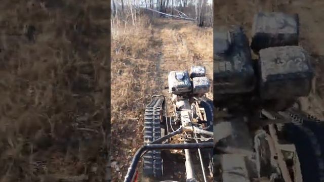 часть 2 поездка в лес смотреть онлайн