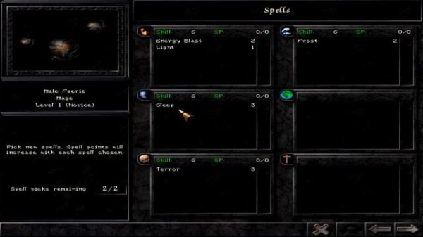 How to make a Masterful Mage in Wizardry 8 - Character Creation Guide Expert Gameplay