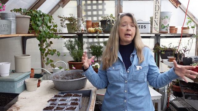Sowing Sweet Peas, Annual Phlox, Treating Fungus Gnats смотреть онлайн