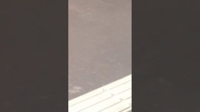 Воздушная тревога жду отбоя (я в метро)? смотреть онлайн