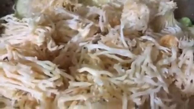 Wild coral mushrooms while Boyster mushrooms and my grandmother zucchini sautéing for friends смотреть онлайн