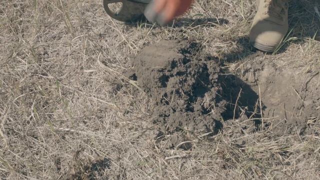 Как найти золото под ногами! смотреть онлайн