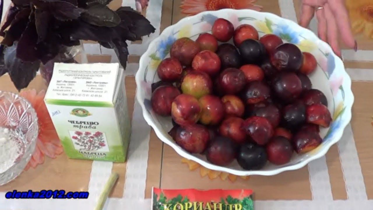 Кухня Елены: 1000+ рецептов на каждый день