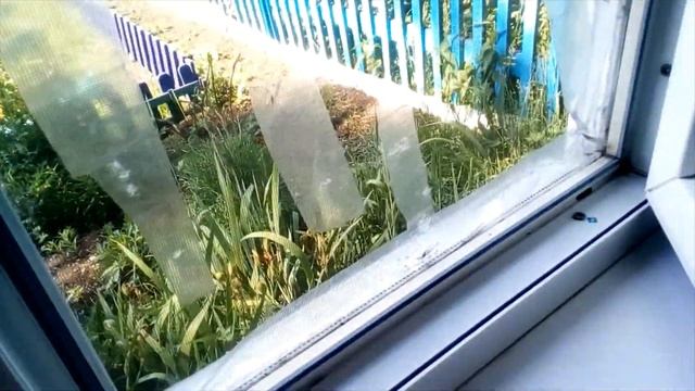 Как я борюсь против мух и всяких жучков,паучков.Село. смотреть онлайн