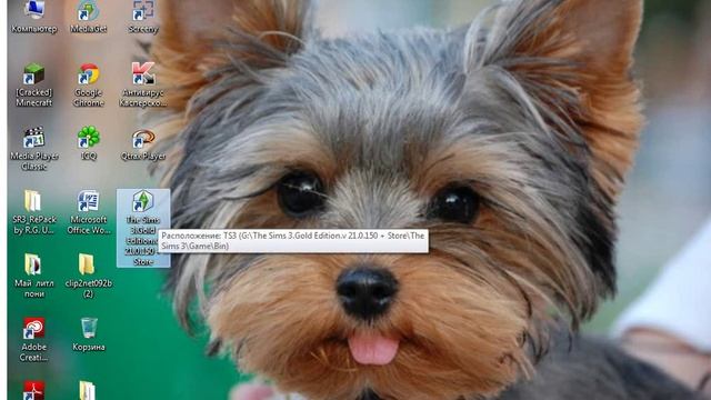 Как скачать The Sims 3 Gold Edition смотреть онлайн