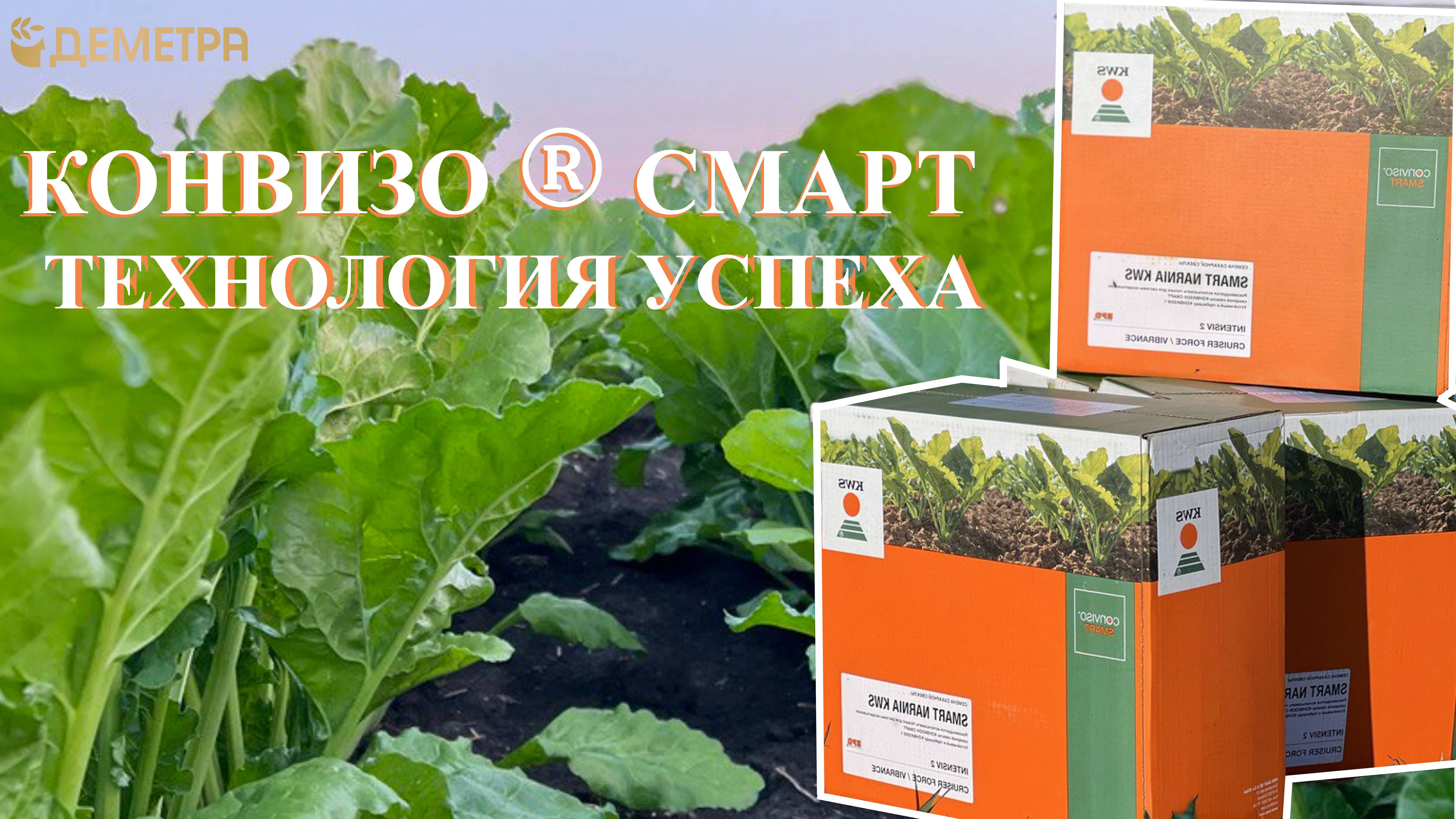 КОНВИЗО®СМАРТ: ТЕХНОЛОГИЯ УСПЕХА смотреть онлайн
