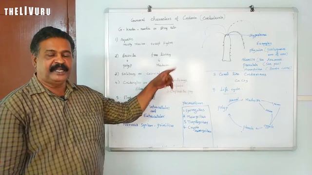 11th BIO-ZOOLOGY | Chapter 2 | PART 7 | Kingdom Animalia | Phylum Cnidaria смотреть онлайн