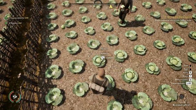 28. Прокачиваем навык сельского хозяйства 😓. #medievaldynasty совместно с @Alekswestler.