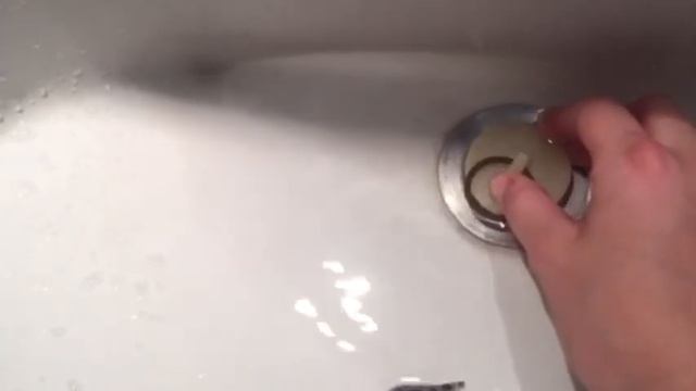 Как разговаривает эублефар! Редкие кадры! смотреть онлайн