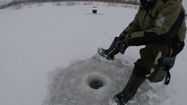 ПЕРВЫЙ ЛЁД / РЫБАЛКА 2019-2020 / FIRST ICE / FISHING 2019-2020 смотреть онлайн