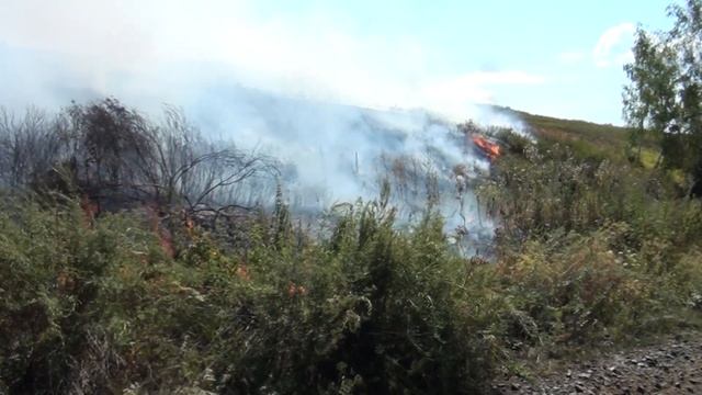Сюжет от 22.08.2019: Горы в огне смотреть онлайн