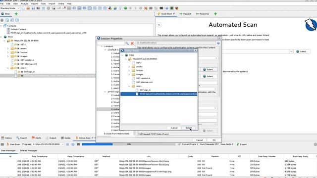 Authenticated Scanning with the VNS3 OWASP ZAP Plugin смотреть онлайн