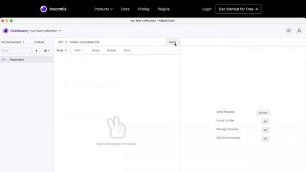 Insomnia Tutorial: API Design, Testing and Collaboration