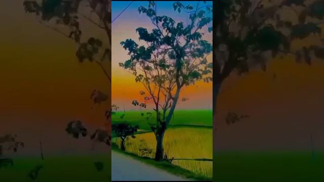 #islamic #video #আমল কখনোই বিফলে যায় না смотреть онлайн