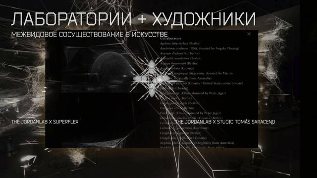 Межвидовая синхронизация: технологии и голоса нечеловеческих агентов. Лекция Марии Федоровой смотреть онлайн