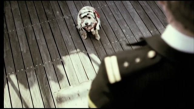 Dog & Bone.mov смотреть онлайн