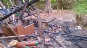 Дом на дереве финальное видео