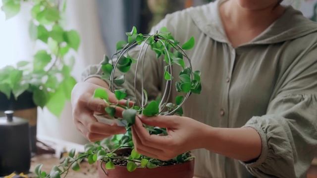 Sub) 4 Easy Ideas To DIY Trellis For Climbing Plant Using Leftover Metal Wire | Home Decorating