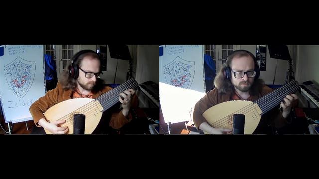 Lost Woods / Saria's Song by Koji Kondo (Played on a real 9 course renaissance lute!) смотреть онлайн