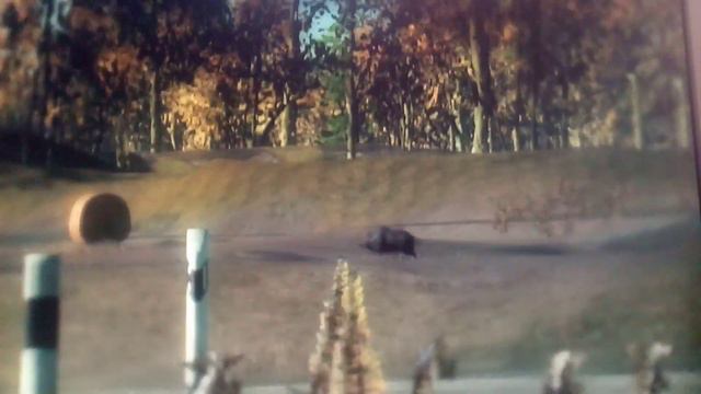 The Hunter classic. Охота на вепря. смотреть онлайн