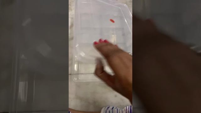 plastic organizers for drawer/makeup/nailart/ #deepsdailylife #organizer #plasticbox смотреть онлайн