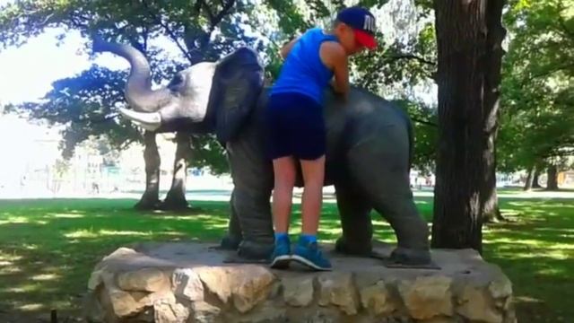 Лето 2017 на слоне Жара и Крутой велик Summer 2017 elephant Heat and Cool bike смотреть онлайн