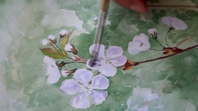 как нарисовать цветы вишни/How to paint cherry blossom смотреть онлайн
