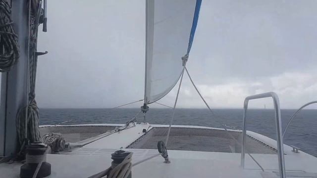 Карибы - обалдеть! смотреть онлайн