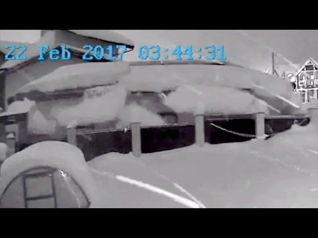 Snow broke the fence смотреть онлайн