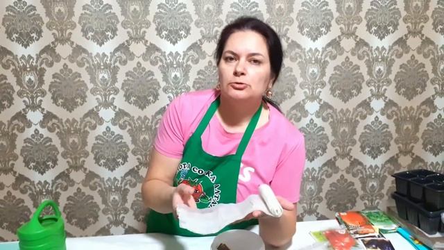 Рассада перца через две недели после посева смотреть онлайн