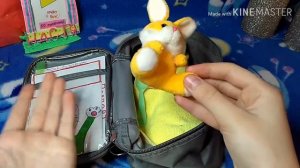 Что нужно в поездку для Басика