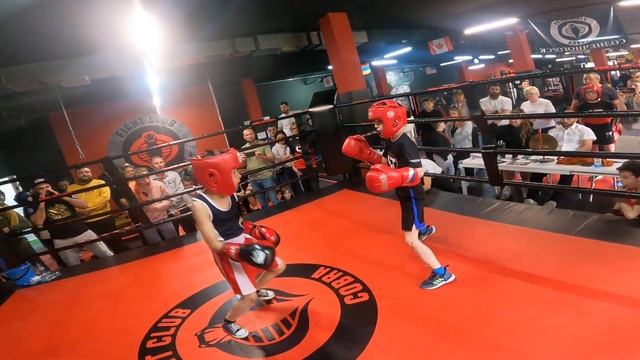 Кобра 29.05.23 бои от 1 лица. смотреть онлайн