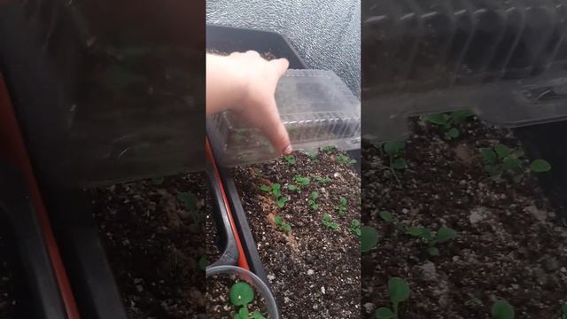 19 ноября 2023 г. смотреть онлайн