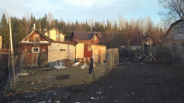 Все лето провел на даче#Гуси#Утки#Копчение#Снег#Мороз и домой;)) смотреть онлайн