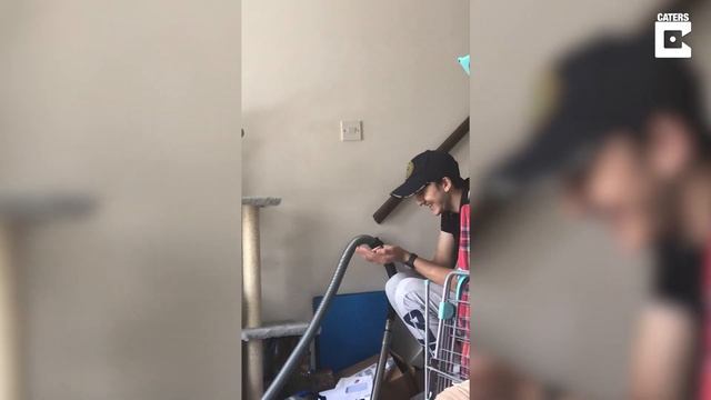 Baby Bird Learns To Fly Again After Being Rescued смотреть онлайн