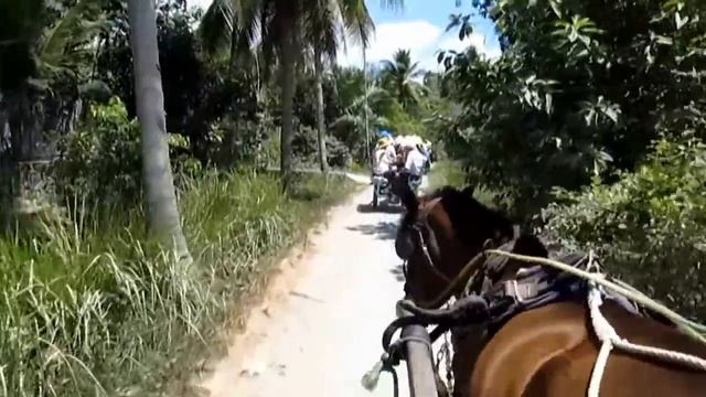 Vietnamese Village Вьетнамская деревня