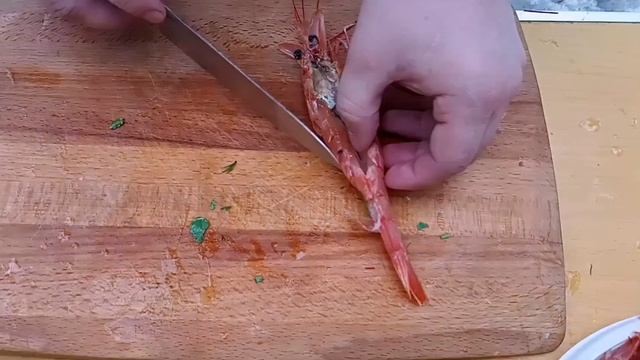 Зоология для Всех