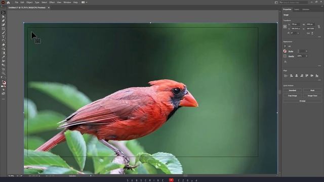 How to Change DPI in Illustrator смотреть онлайн
