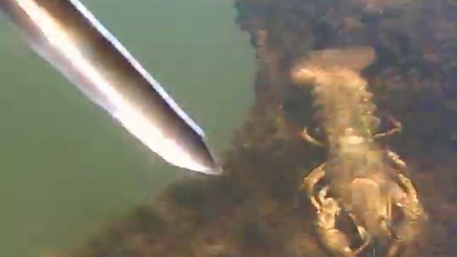 Подводная охота Рак смотреть онлайн