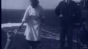 Отряд космических дворняг