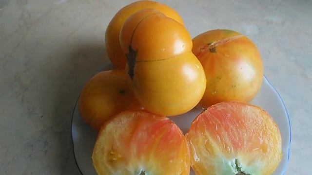 СЕЗОН 2020г.//какие ТОМАТЫ беру из 2019г. смотреть онлайн