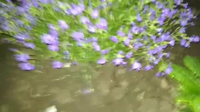 Как добыть червей на рыбалку без лопаты смотреть онлайн