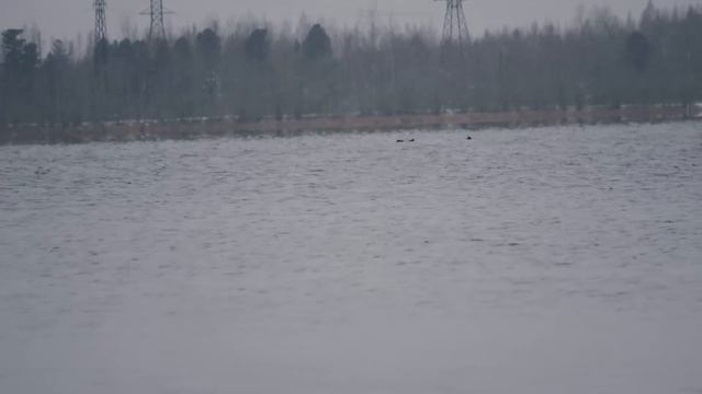 Закрытие по водоплавающей 2019 смотреть онлайн