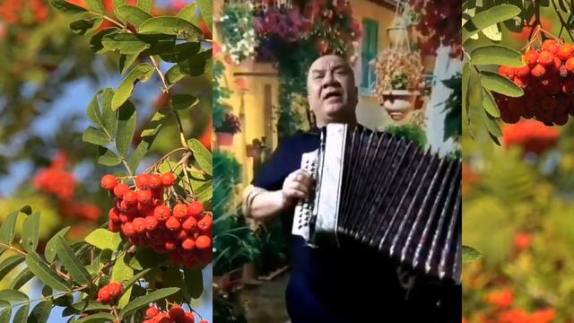 Карлы миләш смотреть онлайн