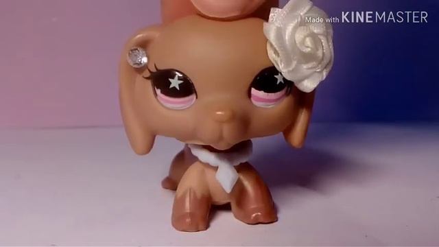 LPS~ 10 000 subskrypcji!!! Konkurs! ~ ALT смотреть онлайн