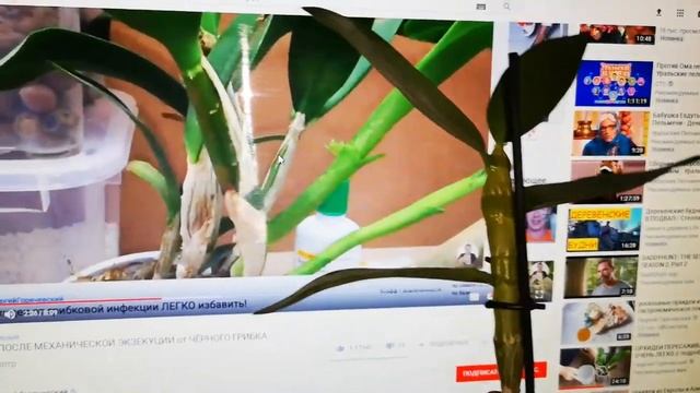 Ремонтная Мастерская