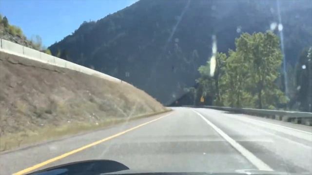 A Porsche 911, 2 Dogs,  And A 6K Mile Road Trip!