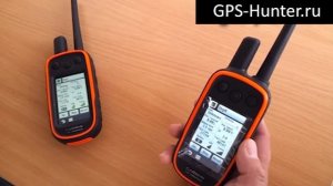 Видеообзор на gps-ошейник Garmin Alpha 100