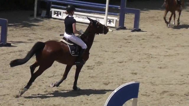 Teddy A** Taufkirchen смотреть онлайн